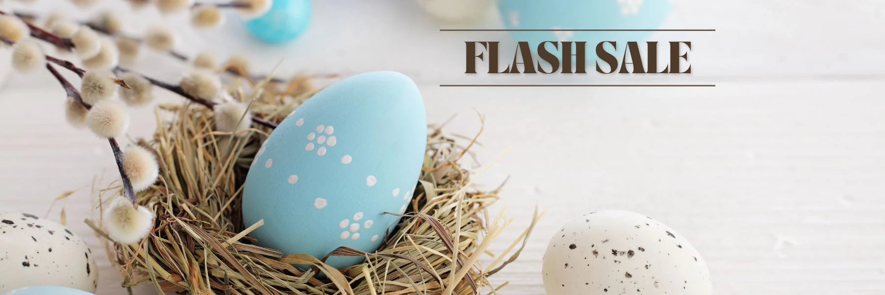 Expert Care for Little Ones